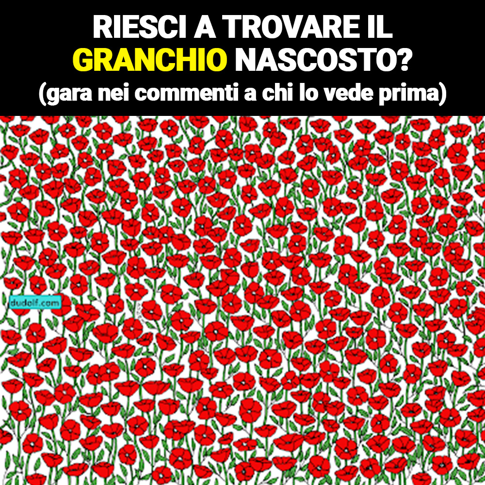 Riesci a trovare il granchio nascosto? Gara nei commenti a chi lo vede prima Aforismi.it Riesci a trovare il granchio nascosto? Gara nei commenti a chi lo vede prima Aforismi.it