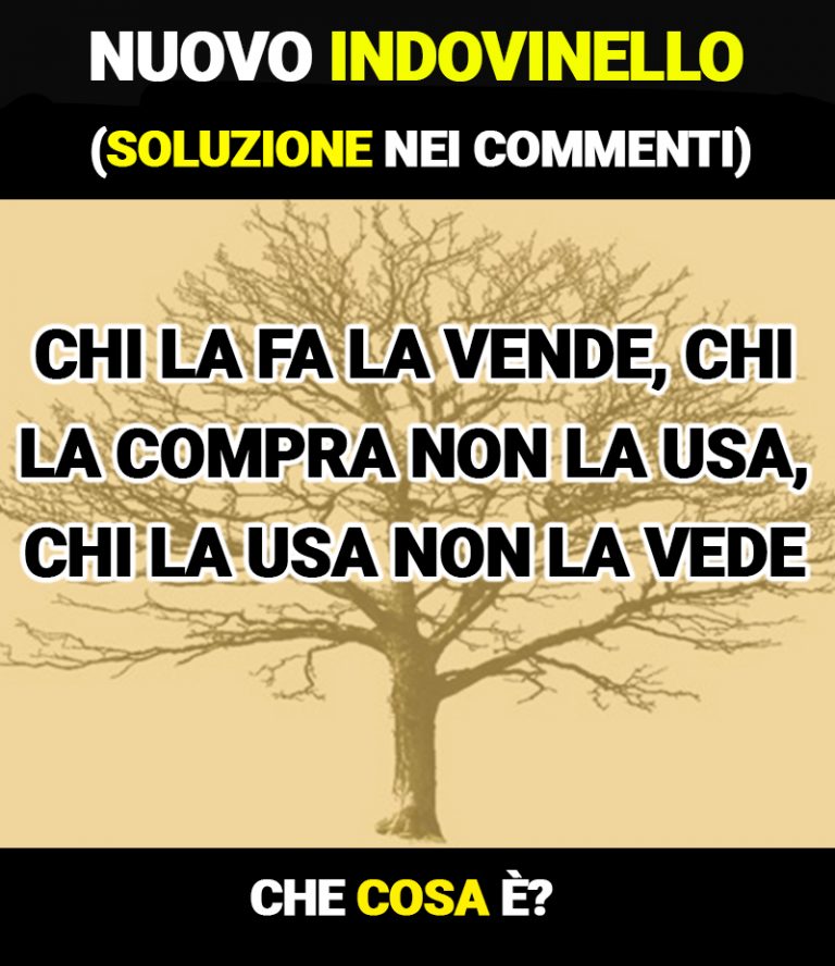 La Mente Che Non Sbaglia Mai