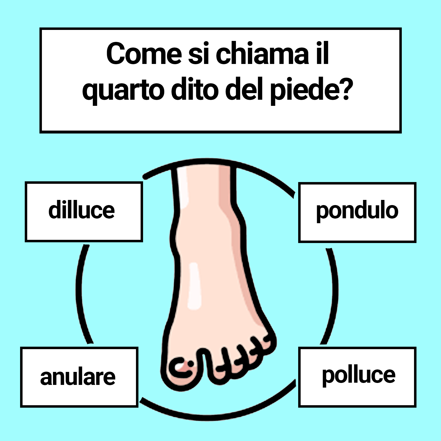 Ricordi il nome delle dita dei piedi? Rinfrescati la memoria con questo quiz Aforismi.it Ricordi il nome delle dita dei piedi? Rinfrescati la memoria con questo quiz Aforismi.it