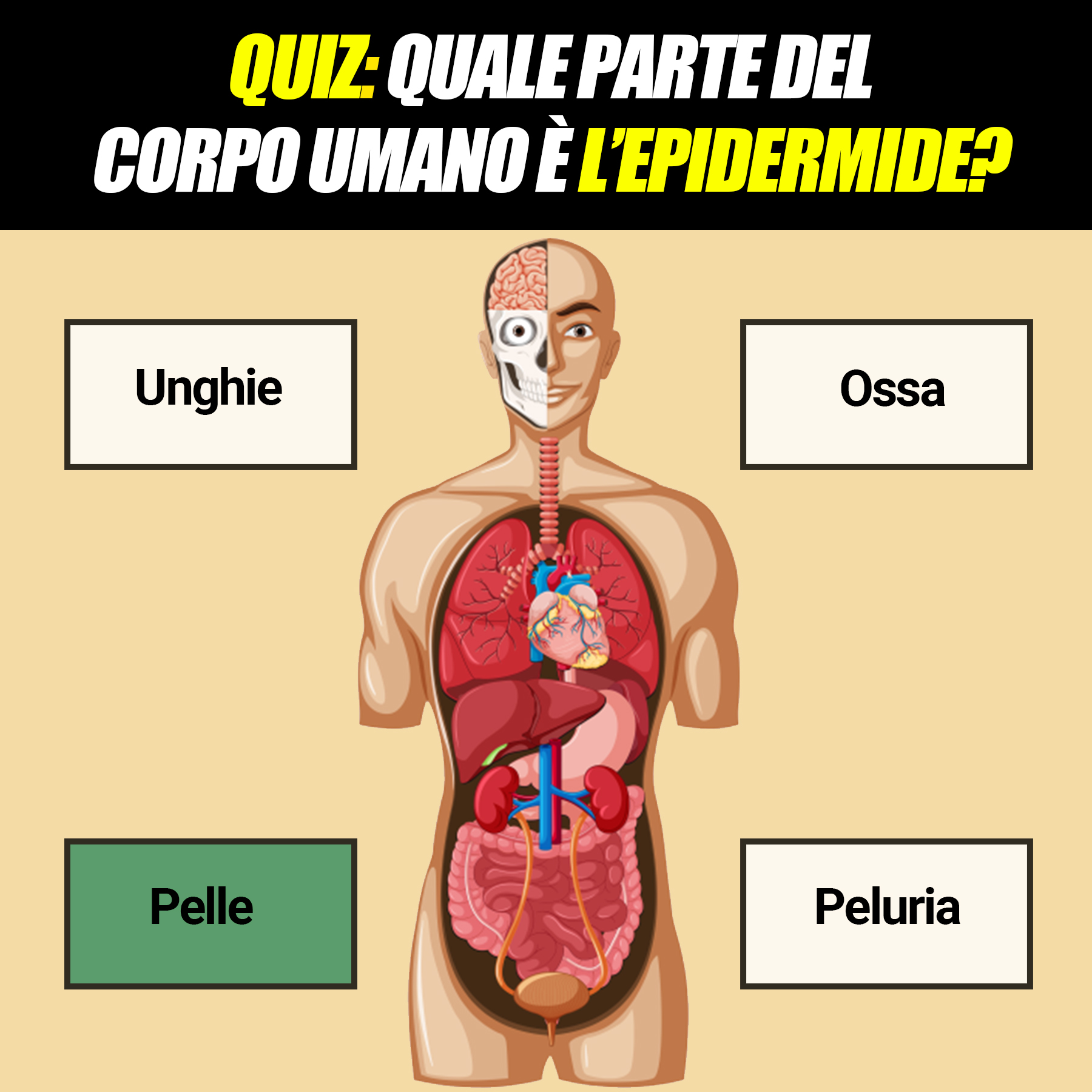 Test Medico Quanto Conosci Il Corpo Umano Aforismiit