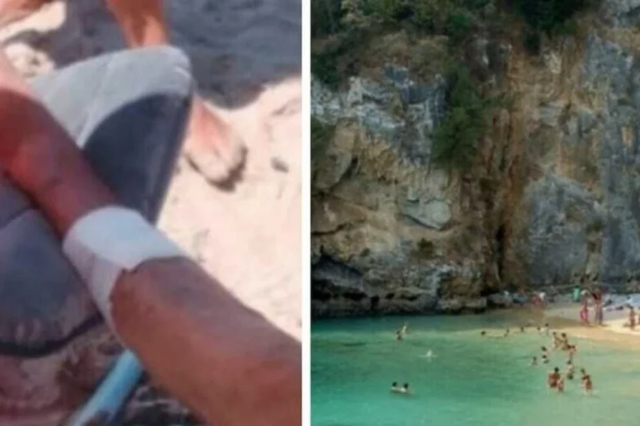 lesioni tanto sangue turisti feriti
