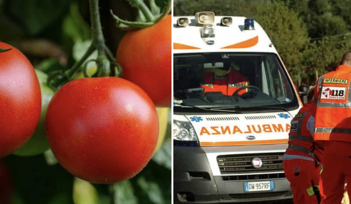Stagno Lombardo, un bracciante di 19 anni muore per un malore durante la raccolta dei pomodori